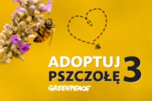 Greenpeace 2015