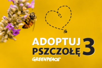 Greenpeace 2015